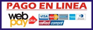Pago en línea